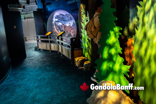 Banff Gondola Educational and Interpretive Areas