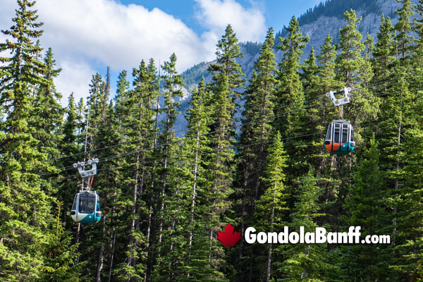 Banff Gondola Tickets
