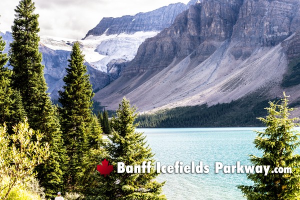 Banff Icefields Parkway
