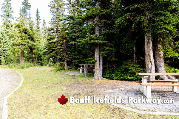 Banff Icefields Parkway